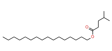 Hexadecyl 4-methylpentanoate